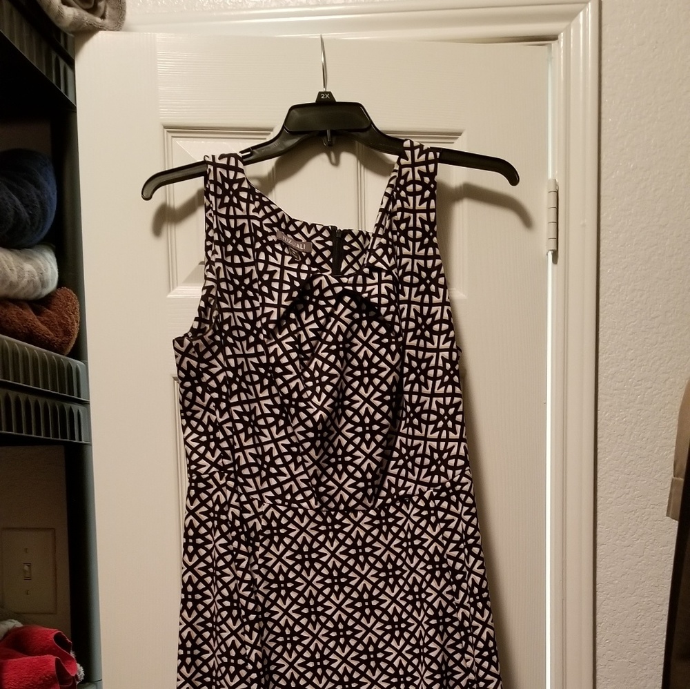 Fit and flare Dress
